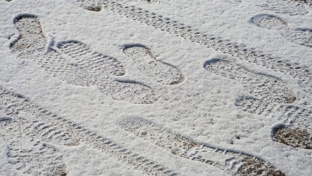I took a picture of the snow footprint on the way.
