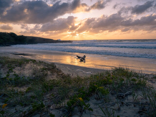 Coastal Sunrise