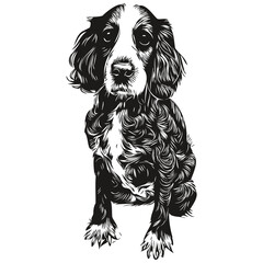 Spaniel English Springer dog black and white vector logo, line art hand drawn vector pets illustration