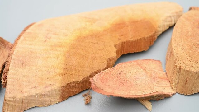 angle pan herb ChuanPoShi or Cudrania cochinchinensis or False Custard