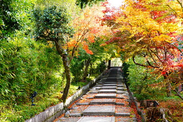 京都　秋の台所坂