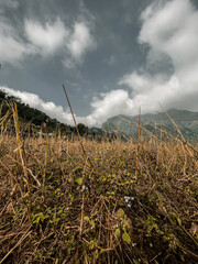 house in the mountains
