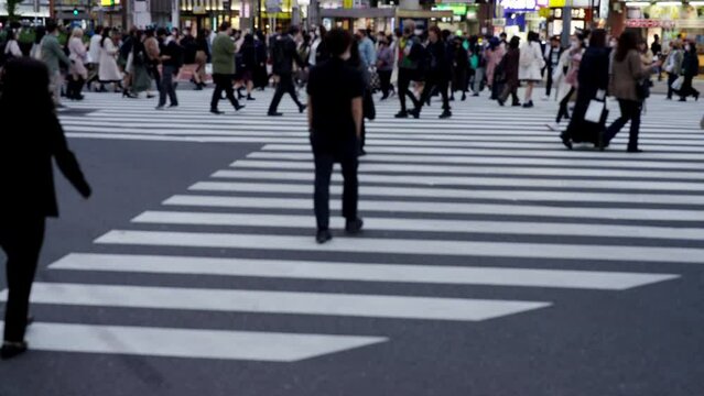 4K Blurred crowd of busy pedestrian people crossing city street crosswalk with road traffic at Shibuya, Tokyo City, Japan in autumn. Man and woman tourist shopping in the city while travel on vacation