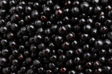 Black elderberries (Sambucus) as background, top view