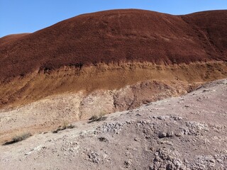 landscape in the desert