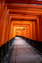 Torii, Fushimi Inari Taisha, Kyoto Japan