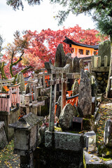 Torii, Fushimi Inari Taisha, Kyoto Japan