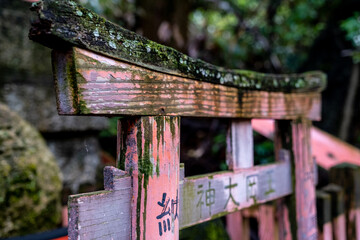 Torii Detail, Fushimi Inari Taisha, Kyoto Japan