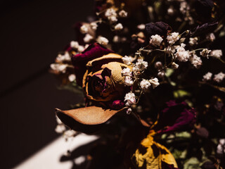 Dry flowers