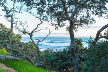 Mount Maunganui landscape at sunrise