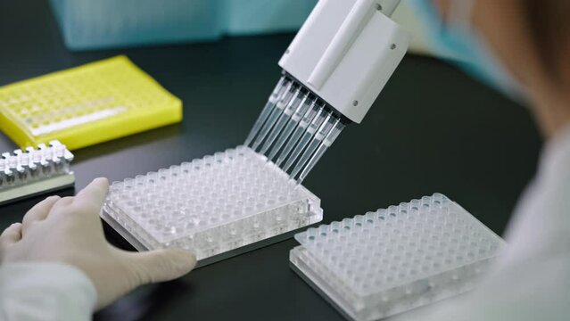 Chinese scientist pipetting samples in laboratory,4K