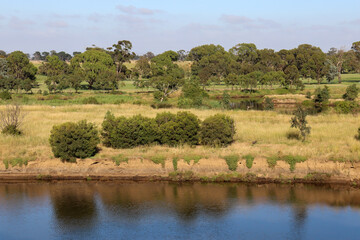 Fototapeta na wymiar landscape with trees and werribee river