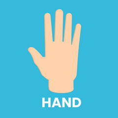 flat hand illustration icon