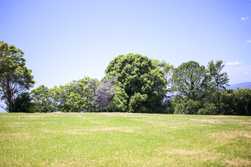 green picnic hillside with blue sky and clouds above green valley lookout