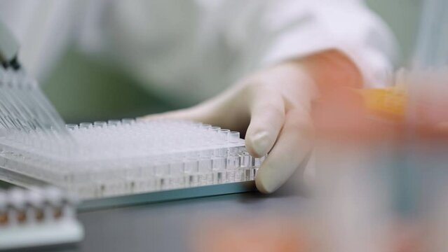 Chinese scientist pipetting samples in laboratory,4K