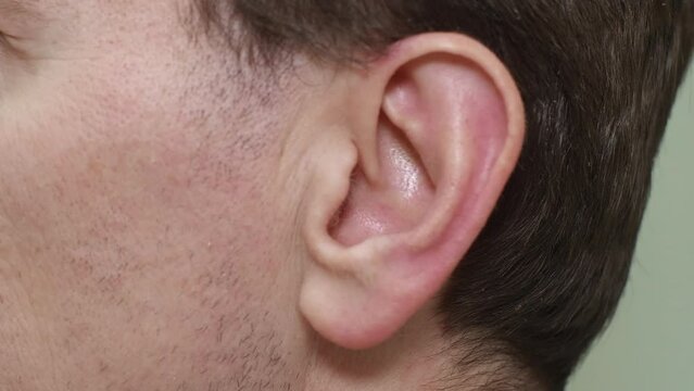Close-up view of ear of caucasian young brunet man. The sensory organ responsible for hearing. Sound perception, deafness, ear diseases, health of the ear apparatus.