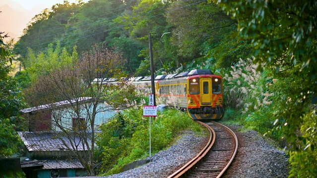A yellow diesel train travels through the mountains and forests. Daytime. Sandiaoling Railway Station, New Taipei City, Taiwan