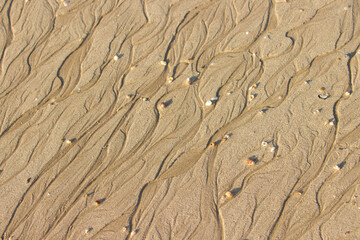 Wet sand background texture.