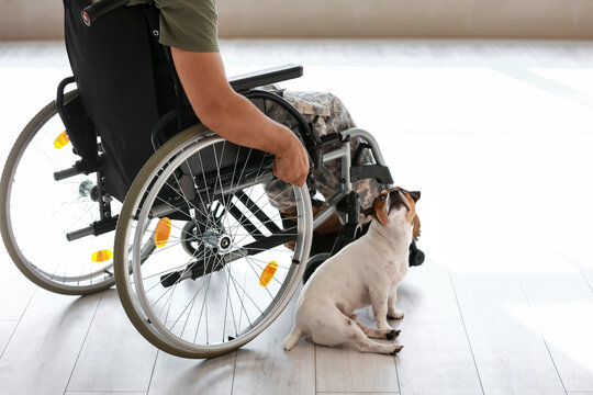 Young soldier in wheelchair with dog at home