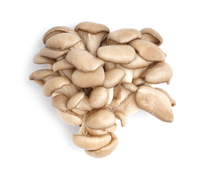 Fresh oyster mushrooms on white background