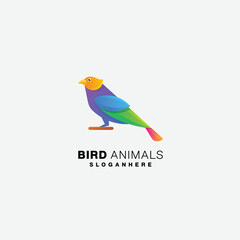 gradient bird logo design colorful template