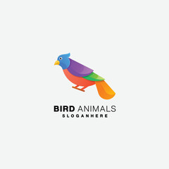 bird logo design gradient colorful illustration