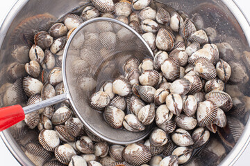 cockles or scallop fresh raw shellfish