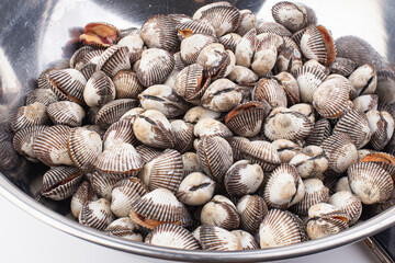 cockles or scallop fresh raw shellfish