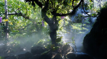 Tropical jungle with river of the nature as sun beam and foggy in the garden.