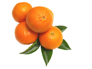 Mandarin  with leaves isolated