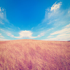 Obraz premium Tuscany