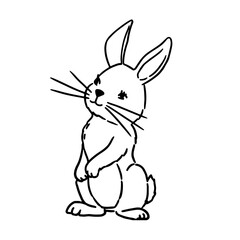 Fototapeta na wymiar Vector coloring book illustration. Cute Hand Drawn Bunny isolatet on wite background