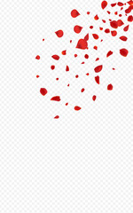 Beautiful Blossom Summer Vector Transparent