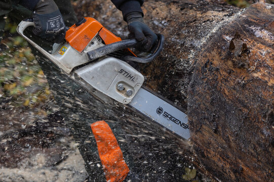 Neuwied, Germany - October 22, 2022: h a Stihl chain saw used to cut through a tree trunk lying on the ground. Stihl is a German manufacturer of chainsaws and other handheld power equipment