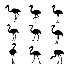 Obraz premium flamingo bird collection silhouettes vector illustration isolated white background