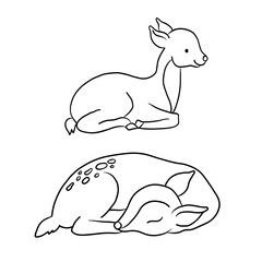 Hand drawn young deer in tribal style. Magic vintage vector illustration in black on white. Children's coloring book. Spiritual art, yoga, boho style, nature and wildlife. T-shirts and tattoos