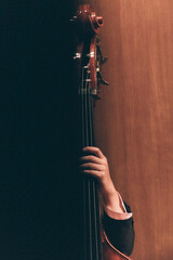 Indoor concert background abstract people performing music instruments in symphony orchestra bass cello