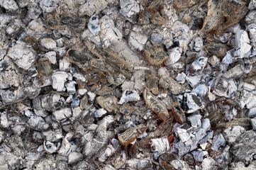 Smoldering charcoal in a barbecue