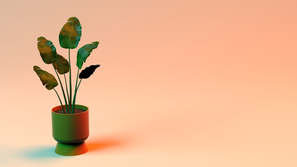Picture of a Plant Pot with an Orange Background and Copy Space Area. Suitable for placing on content with that theme.