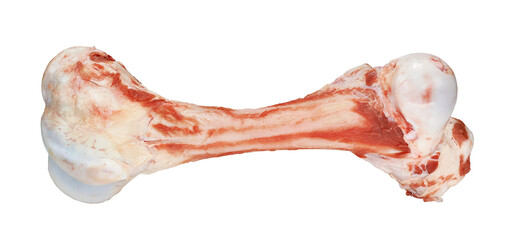 Fresh raw lamb leg isolated on white background. Fresh lamb meat isolated.