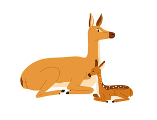 Roe deers, mother and baby. Forest animals family, big parent and little small kid with spots. Wild woods mammals relaxing, lying together. Flat vector illustration isolated on white background © Good Studio