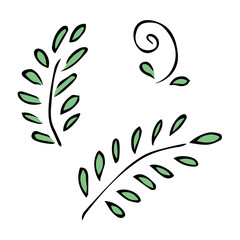 Fototapeta na wymiar Set of hand drawn simple branch with leaves. Eco doodle clipart. Botanical illustration