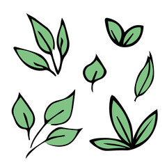 Set of hand drawn simple leaf. Eco doodle clipart. Botanical illustration