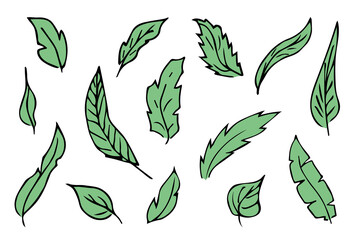 Set of hand drawn simple leaf. Eco doodle clipart. Botanical illustration
