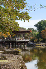 A view of Ukimido in Nara Park on a clear autumn day