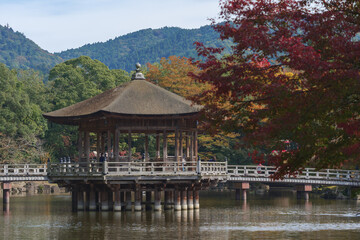 Fototapeta na wymiar A view of Ukimido in Nara Park on a clear autumn day