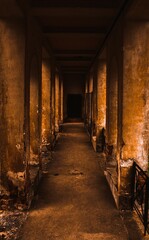 Fototapeta na wymiar Hallway, Corridor with old columns in a lost place