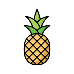 pineapple icon vector design template in white background