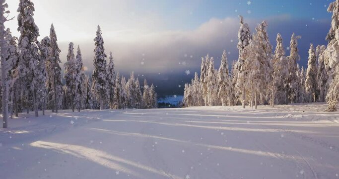 Falling snowflakes against the background of snow-covered fir trees in fine sunny weather on one of the slopes from the mountain in the Levi ski resort in Northern Lapland, Finland.