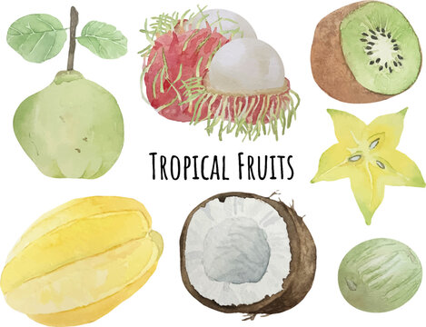 Watercolor background with various tropical fruits on white background. Concept of healthy eating, food background.